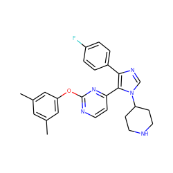 Cc1cc(C)cc(Oc2nccc(-c3c(-c4ccc(F)cc4)ncn3C3CCNCC3)n2)c1 ZINC000036127094
