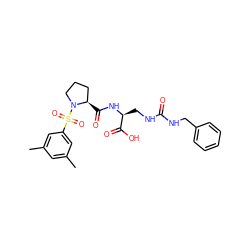 Cc1cc(C)cc(S(=O)(=O)N2CCC[C@H]2C(=O)N[C@@H](CNC(=O)NCc2ccccc2)C(=O)O)c1 ZINC000014969746