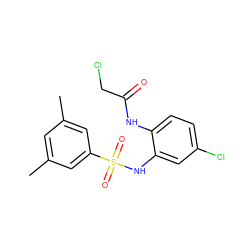 Cc1cc(C)cc(S(=O)(=O)Nc2cc(Cl)ccc2NC(=O)CCl)c1 ZINC000043079624