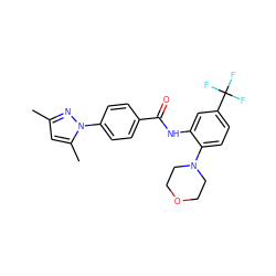 Cc1cc(C)n(-c2ccc(C(=O)Nc3cc(C(F)(F)F)ccc3N3CCOCC3)cc2)n1 ZINC000002726389