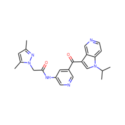 Cc1cc(C)n(CC(=O)Nc2cncc(C(=O)c3cn(C(C)C)c4ccncc34)c2)n1 ZINC001772592250