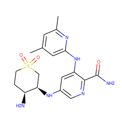 Cc1cc(C)nc(Nc2cc(N[C@@H]3CS(=O)(=O)CC[C@@H]3N)cnc2C(N)=O)c1 ZINC000205277308