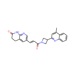 Cc1cc(C2CN(C(=O)/C=C/c3cnc4c(c3)CCC(=O)N4)C2)nc2ccccc12 ZINC000299833795