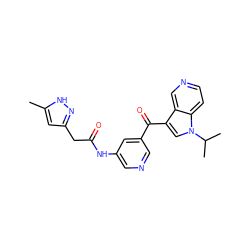 Cc1cc(CC(=O)Nc2cncc(C(=O)c3cn(C(C)C)c4ccncc34)c2)n[nH]1 ZINC001772642638