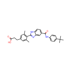 Cc1cc(CCC(=O)O)cc(C)c1-c1nc2cc(C(=O)Nc3ccc(C(C)(C)C)cc3)ccc2[nH]1 ZINC000084728904