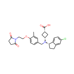 Cc1cc(CN([C@H]2C[C@@H](C(=O)O)C2)[C@H]2CCc3cc(Cl)ccc32)ccc1OCCN1C(=O)CCC1=O ZINC000473229089