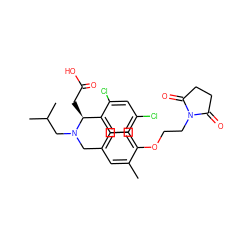 Cc1cc(CN(CC(C)C)[C@@H](CC(=O)O)c2ccc(Cl)cc2Cl)ccc1OCCN1C(=O)CCC1=O ZINC000225124078