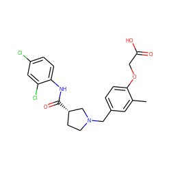 Cc1cc(CN2CC[C@H](C(=O)Nc3ccc(Cl)cc3Cl)C2)ccc1OCC(=O)O ZINC000066251986