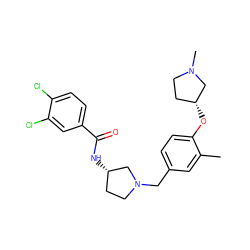 Cc1cc(CN2CC[C@H](NC(=O)c3ccc(Cl)c(Cl)c3)C2)ccc1O[C@@H]1CCN(C)C1 ZINC000040933987