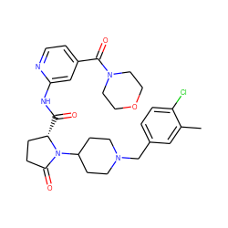 Cc1cc(CN2CCC(N3C(=O)CC[C@@H]3C(=O)Nc3cc(C(=O)N4CCOCC4)ccn3)CC2)ccc1Cl ZINC000116815094