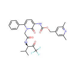 Cc1cc(COC(=O)Nc2ccc(-c3ccccc3)n(CC(=O)N[C@@H](C(=O)C(F)(F)F)C(C)C)c2=O)cc(C)n1 ZINC000026982180