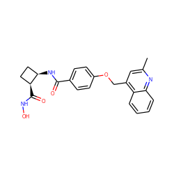 Cc1cc(COc2ccc(C(=O)N[C@@H]3CC[C@@H]3C(=O)NO)cc2)c2ccccc2n1 ZINC000028979342