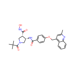 Cc1cc(COc2ccc(C(=O)N[C@@H]3CN(C(=O)C(C)(C)C)C[C@@H]3C(=O)NO)cc2)c2ccccc2n1 ZINC000029129227