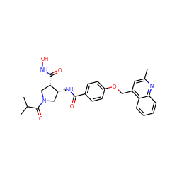 Cc1cc(COc2ccc(C(=O)N[C@@H]3CN(C(=O)C(C)C)C[C@@H]3C(=O)NO)cc2)c2ccccc2n1 ZINC000029129229