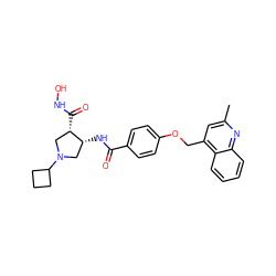 Cc1cc(COc2ccc(C(=O)N[C@@H]3CN(C4CCC4)C[C@@H]3C(=O)NO)cc2)c2ccccc2n1 ZINC000029130114