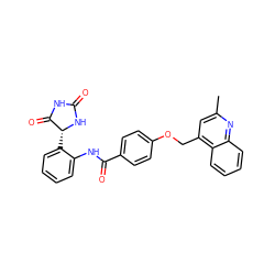 Cc1cc(COc2ccc(C(=O)Nc3ccccc3[C@H]3NC(=O)NC3=O)cc2)c2ccccc2n1 ZINC000003948925