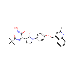 Cc1cc(COc2ccc(N3CC[C@H]([C@H](NC(=O)C(C)(C)C)C(=O)NO)C3=O)cc2)c2ccccc2n1 ZINC000013490349