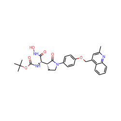 Cc1cc(COc2ccc(N3CC[C@H]([C@H](NC(=O)OC(C)(C)C)C(=O)NO)C3=O)cc2)c2ccccc2n1 ZINC000003816571