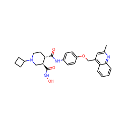 Cc1cc(COc2ccc(NC(=O)[C@H]3CCN(C4CCC4)C[C@@H]3C(=O)NO)cc2)c2ccccc2n1 ZINC000013587726