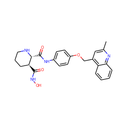 Cc1cc(COc2ccc(NC(=O)[C@H]3NCCC[C@@H]3C(=O)NO)cc2)c2ccccc2n1 ZINC000013587730