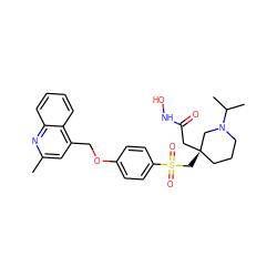 Cc1cc(COc2ccc(S(=O)(=O)C[C@]3(CC(=O)NO)CCCN(C(C)C)C3)cc2)c2ccccc2n1 ZINC000028380880