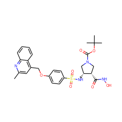 Cc1cc(COc2ccc(S(=O)(=O)N[C@@H]3CN(C(=O)OC(C)(C)C)C[C@@H]3C(=O)NO)cc2)c2ccccc2n1 ZINC000138561080