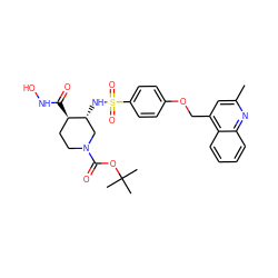 Cc1cc(COc2ccc(S(=O)(=O)N[C@@H]3CN(C(=O)OC(C)(C)C)CC[C@H]3C(=O)NO)cc2)c2ccccc2n1 ZINC000143396995