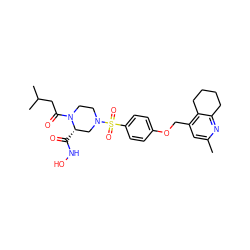 Cc1cc(COc2ccc(S(=O)(=O)N3CCN(C(=O)CC(C)C)[C@@H](C(=O)NO)C3)cc2)c2c(n1)CCCC2 ZINC001772616887