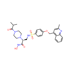 Cc1cc(COc2ccc(S(=O)(=O)NC[C@@H](C(=O)NO)N3CCN(C(=O)C(C)C)CC3)cc2)c2ccccc2n1 ZINC000114996759