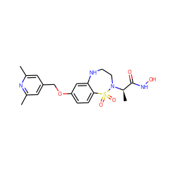 Cc1cc(COc2ccc3c(c2)NCCN([C@H](C)C(=O)NO)S3(=O)=O)cc(C)n1 ZINC000013518147