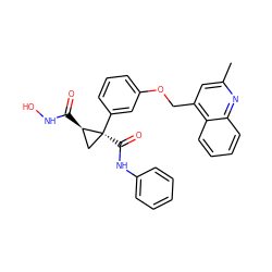 Cc1cc(COc2cccc([C@@]3(C(=O)Nc4ccccc4)C[C@H]3C(=O)NO)c2)c2ccccc2n1 ZINC000029134922