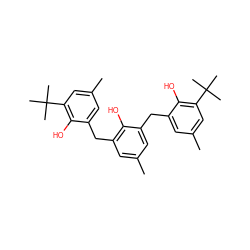 Cc1cc(Cc2cc(C)cc(C(C)(C)C)c2O)c(O)c(Cc2cc(C)cc(C(C)(C)C)c2O)c1 ZINC000001691387