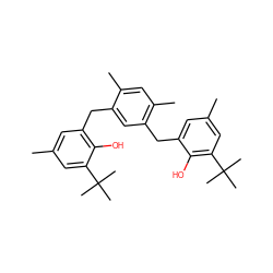 Cc1cc(Cc2cc(Cc3cc(C)cc(C(C)(C)C)c3O)c(C)cc2C)c(O)c(C(C)(C)C)c1 ZINC000001688210