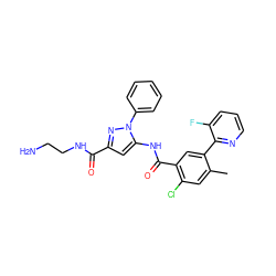 Cc1cc(Cl)c(C(=O)Nc2cc(C(=O)NCCN)nn2-c2ccccc2)cc1-c1ncccc1F ZINC001772573492