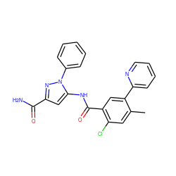 Cc1cc(Cl)c(C(=O)Nc2cc(C(N)=O)nn2-c2ccccc2)cc1-c1ccccn1 ZINC001772601910