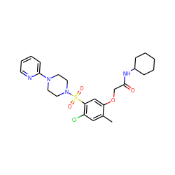 Cc1cc(Cl)c(S(=O)(=O)N2CCN(c3ccccn3)CC2)cc1OCC(=O)NC1CCCCC1 ZINC000013153238