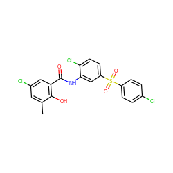 Cc1cc(Cl)cc(C(=O)Nc2cc(S(=O)(=O)c3ccc(Cl)cc3)ccc2Cl)c1O ZINC000027431196