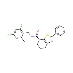 Cc1cc(Cl)cc(Cl)c1CNC(=O)[C@@H]1CCCc2nc(-c3ccccc3)sc21 ZINC000220875339