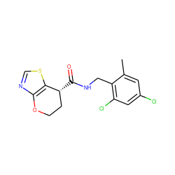 Cc1cc(Cl)cc(Cl)c1CNC(=O)[C@@H]1CCOc2ncsc21 ZINC000220855565