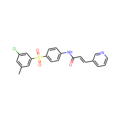 Cc1cc(Cl)cc(S(=O)(=O)c2ccc(NC(=O)/C=C/c3cccnc3)cc2)c1 ZINC000142491454