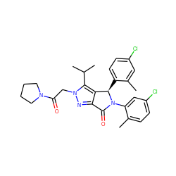 Cc1cc(Cl)ccc1[C@@H]1c2c(nn(CC(=O)N3CCCC3)c2C(C)C)C(=O)N1c1cc(Cl)ccc1C ZINC000206140038