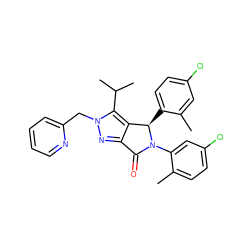 Cc1cc(Cl)ccc1[C@@H]1c2c(nn(Cc3ccccn3)c2C(C)C)C(=O)N1c1cc(Cl)ccc1C ZINC000206134357