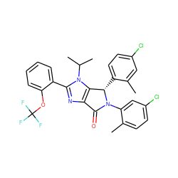 Cc1cc(Cl)ccc1[C@H]1c2c(nc(-c3ccccc3OC(F)(F)F)n2C(C)C)C(=O)N1c1cc(Cl)ccc1C ZINC000169705363