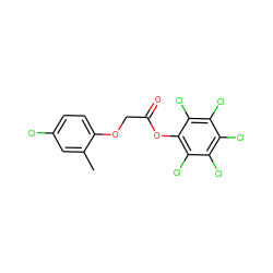 Cc1cc(Cl)ccc1OCC(=O)Oc1c(Cl)c(Cl)c(Cl)c(Cl)c1Cl ZINC000001732276