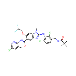 Cc1cc(Cl)cnc1NC(=O)c1cc2nc(Nc3c(Cl)ccc(CNC(=O)C(C)(C)C)c3Cl)n(C)c2cc1OCC(F)F ZINC000169703131