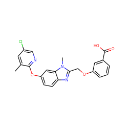 Cc1cc(Cl)cnc1Oc1ccc2nc(COc3cccc(C(=O)O)c3)n(C)c2c1 ZINC000113977250