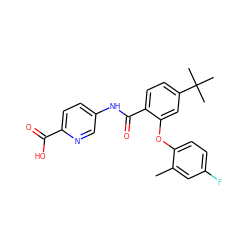 Cc1cc(F)ccc1Oc1cc(C(C)(C)C)ccc1C(=O)Nc1ccc(C(=O)O)nc1 ZINC000143191502