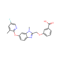 Cc1cc(F)cnc1Oc1ccc2nc(COc3cccc(C(=O)O)c3)n(C)c2c1 ZINC000113977721