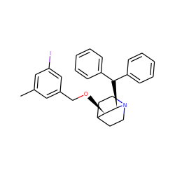 Cc1cc(I)cc(CO[C@@H]2C3CCN(CC3)[C@@H]2C(c2ccccc2)c2ccccc2)c1 ZINC000013744528