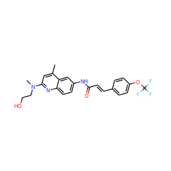 Cc1cc(N(C)CCO)nc2ccc(NC(=O)/C=C/c3ccc(OC(F)(F)F)cc3)cc12 ZINC000013671993